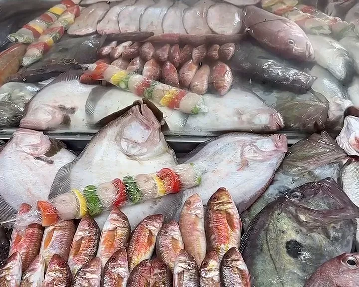 Video: vitrinde yassı balıklar, sıra sıra küçük balıklar ve renkli şişler